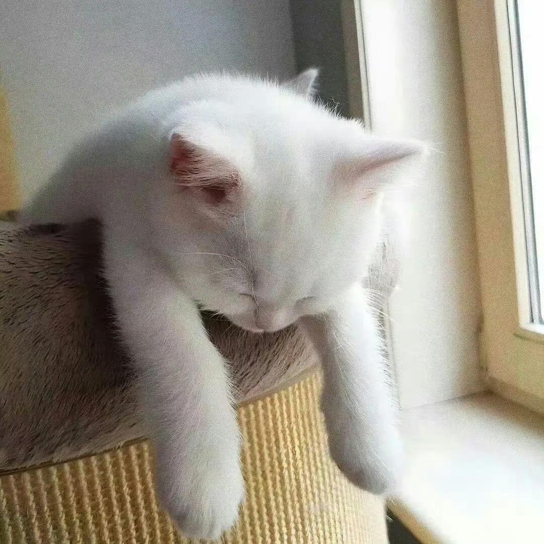 碎什么叫