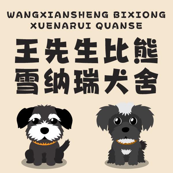 天津王先森犬舍（比熊，雪纳瑞）