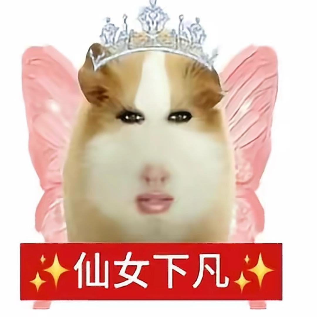 Pop.凉拌鸡屎