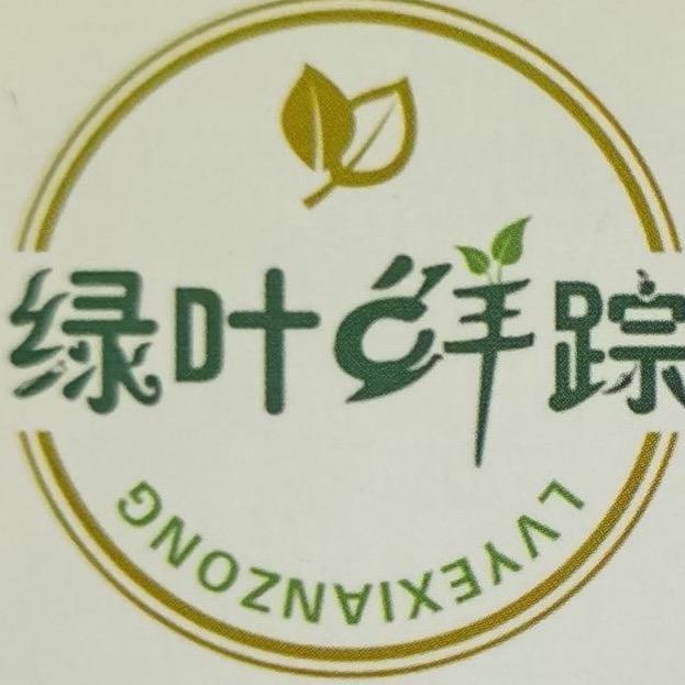 绿叶鲜踪鲜果园