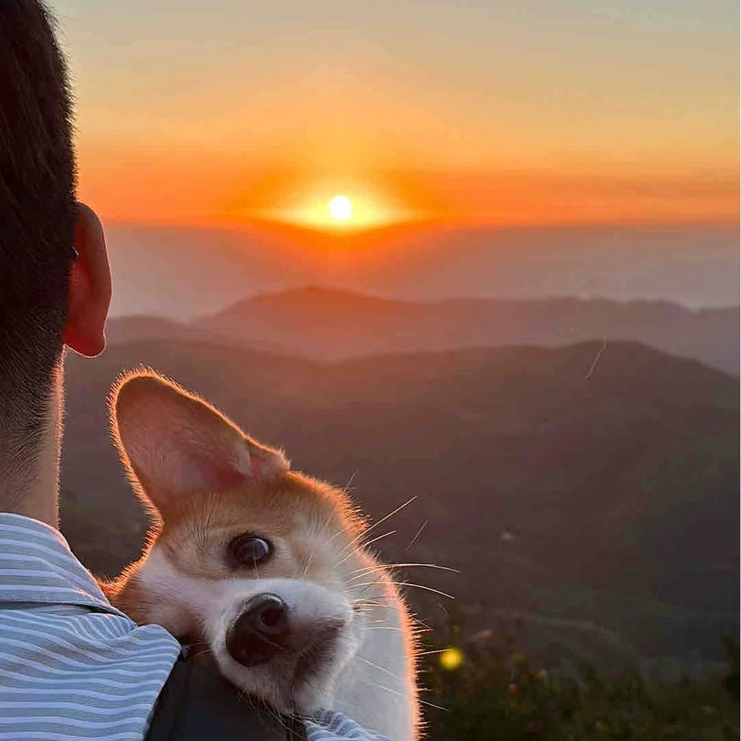 🌈请叫我小杨同学