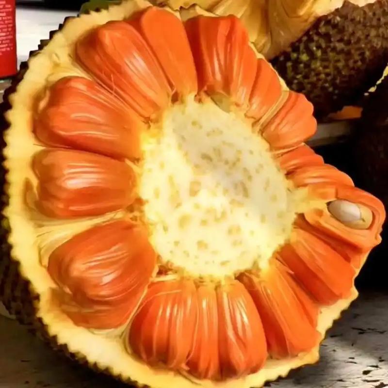 巩义市果香果蔬副食品店