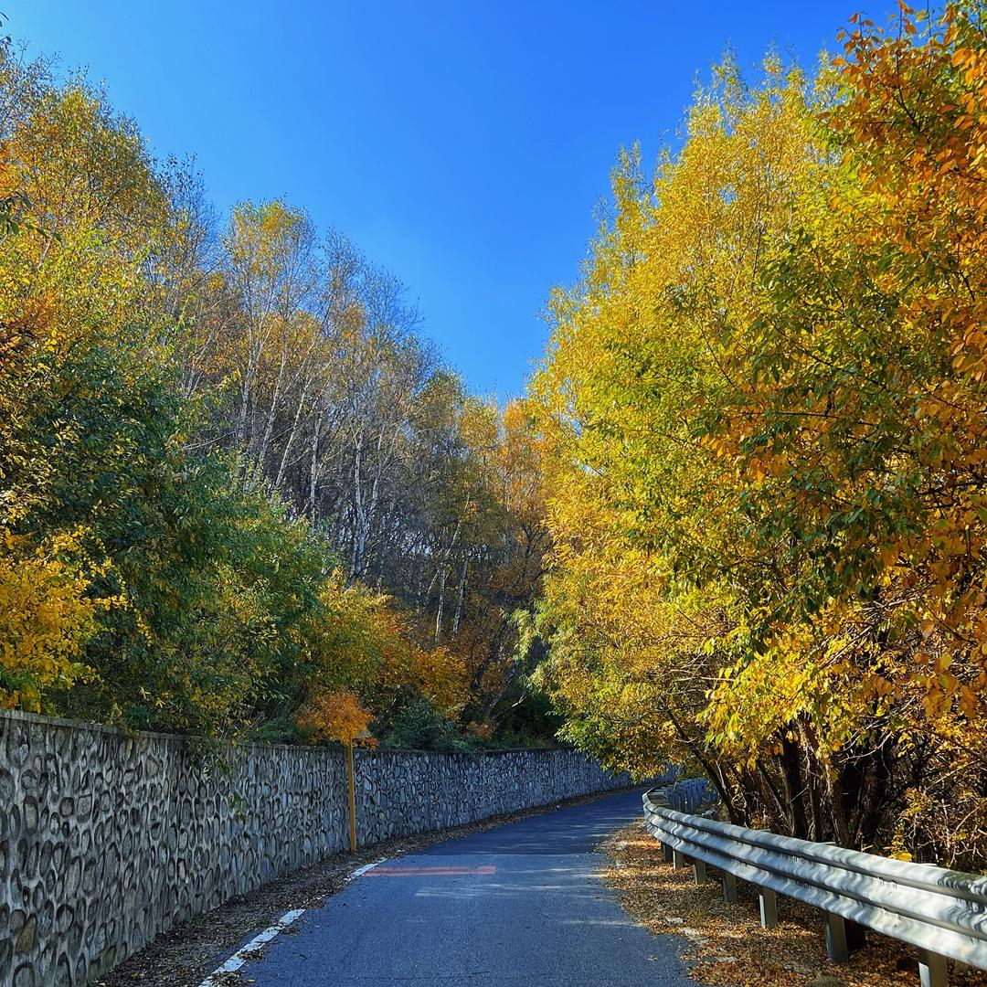 小元老师爱学习