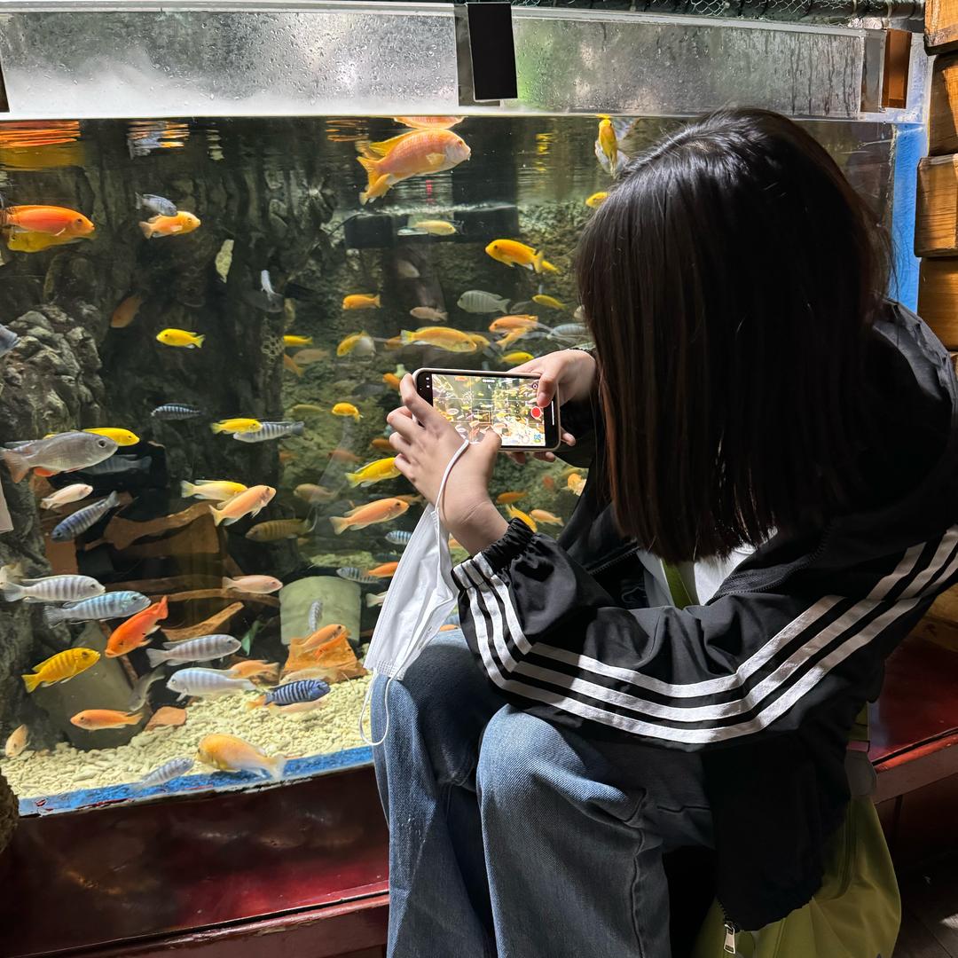 奥莱正品大美丽