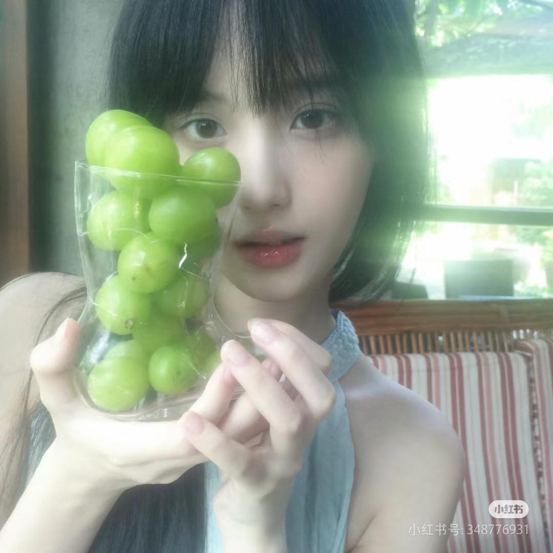 蔬菜恐龙