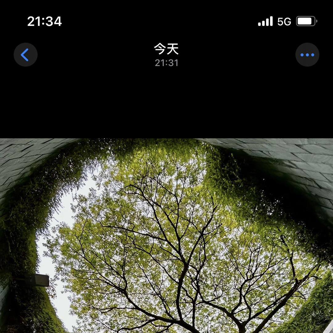 中发出国服务（小伊哥）