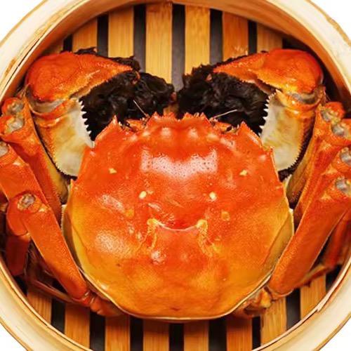 螃蟹哥