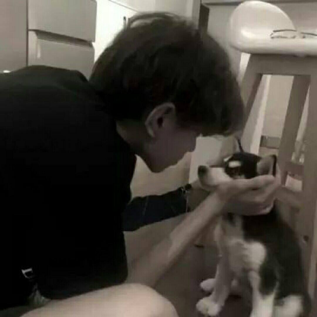 李清照