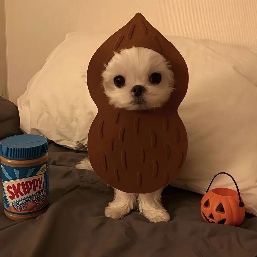 GS想开兰博基尼urus