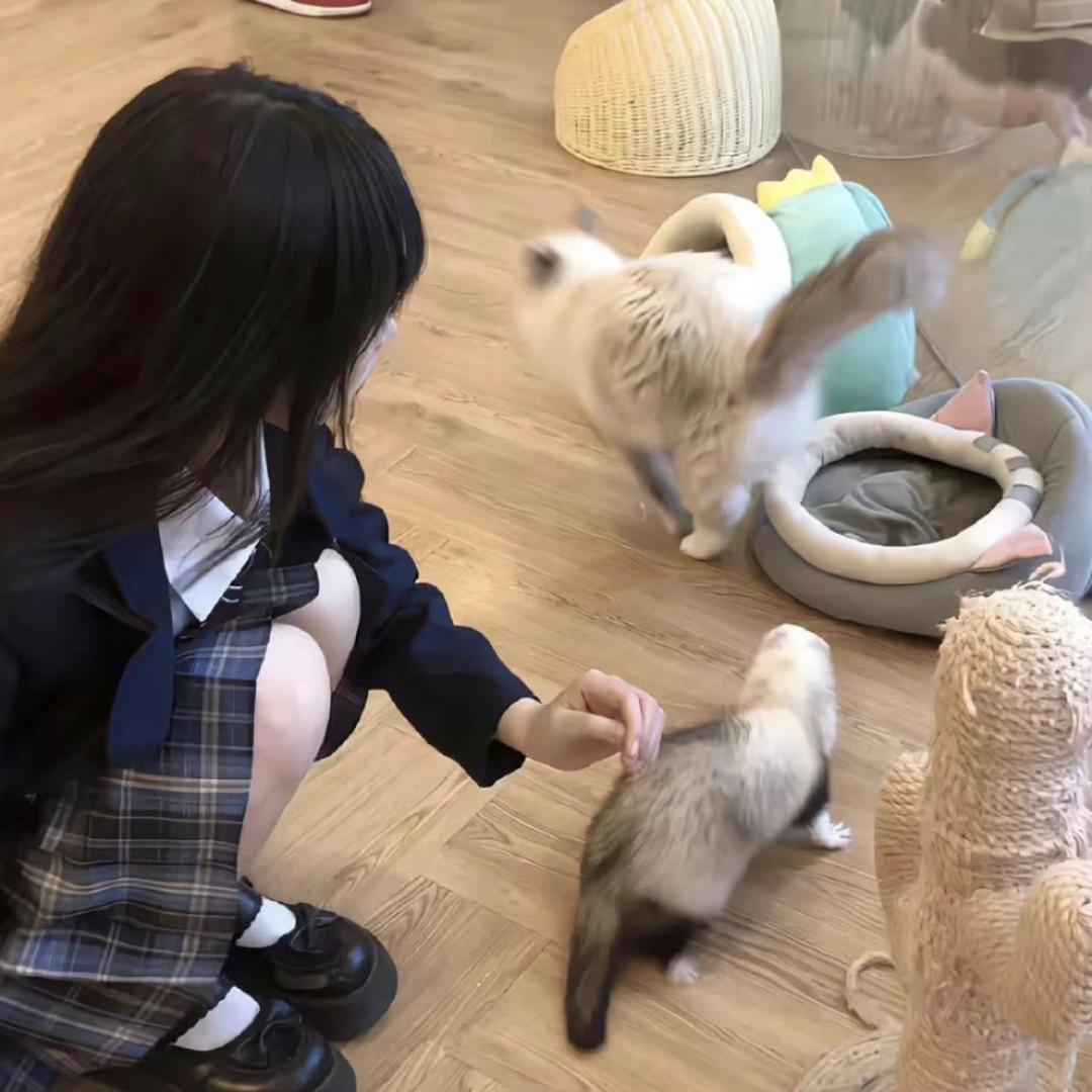 困困魚.