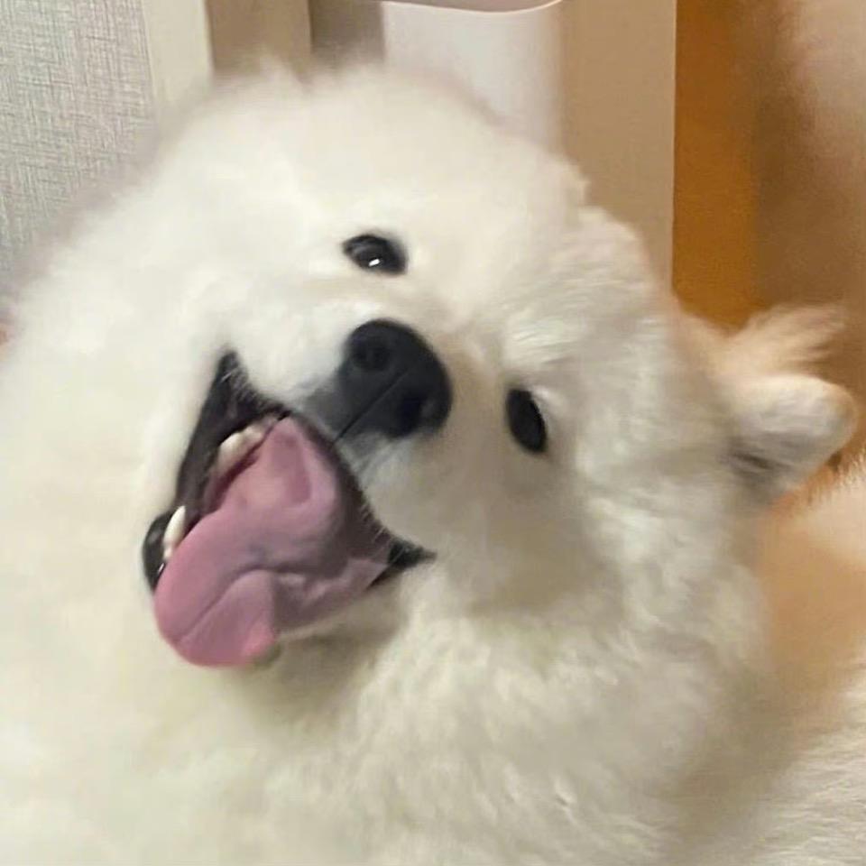 小岛来信