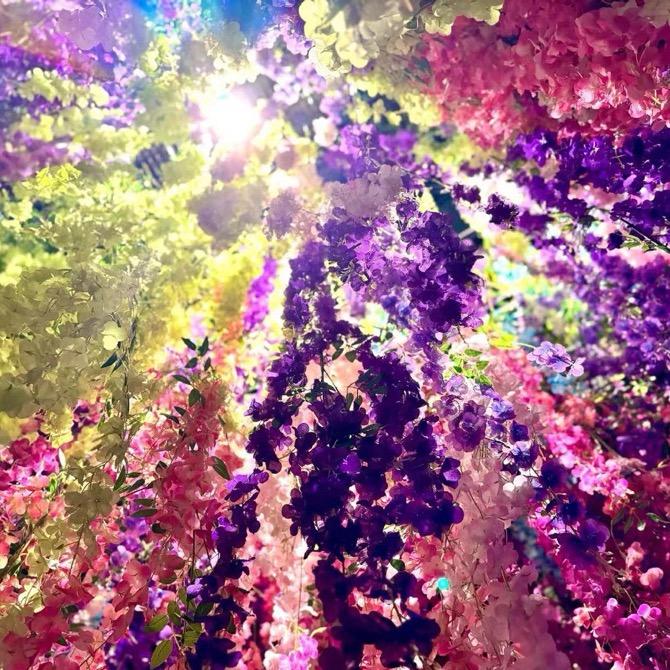 🍎🍎南方的苹果