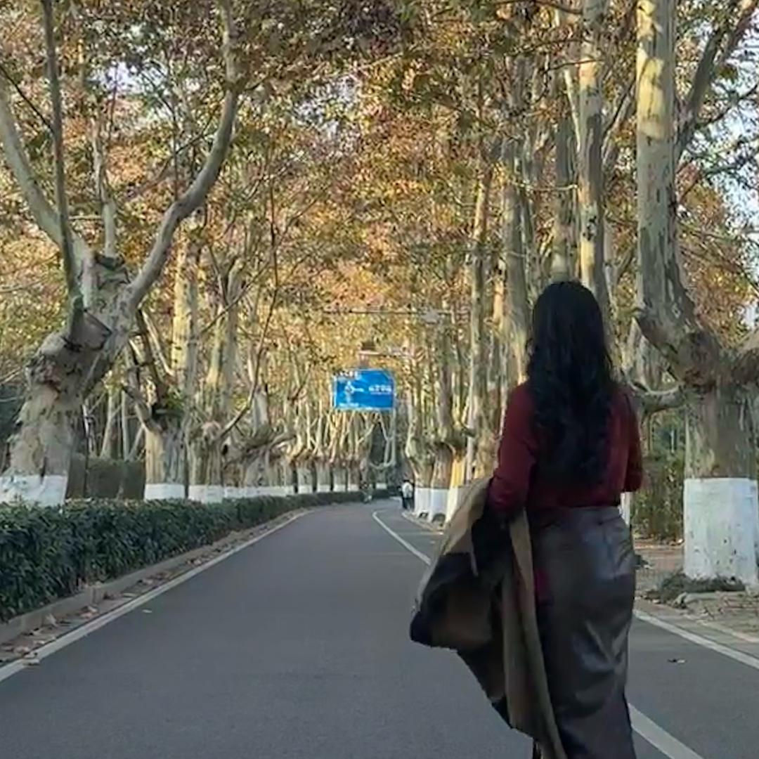 黑玫瑰