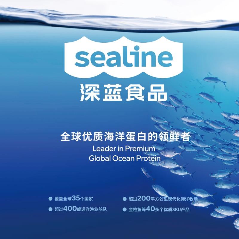 深蓝现代专营店