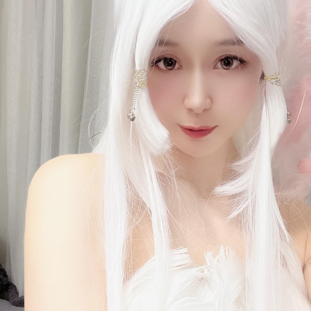 锦里猫