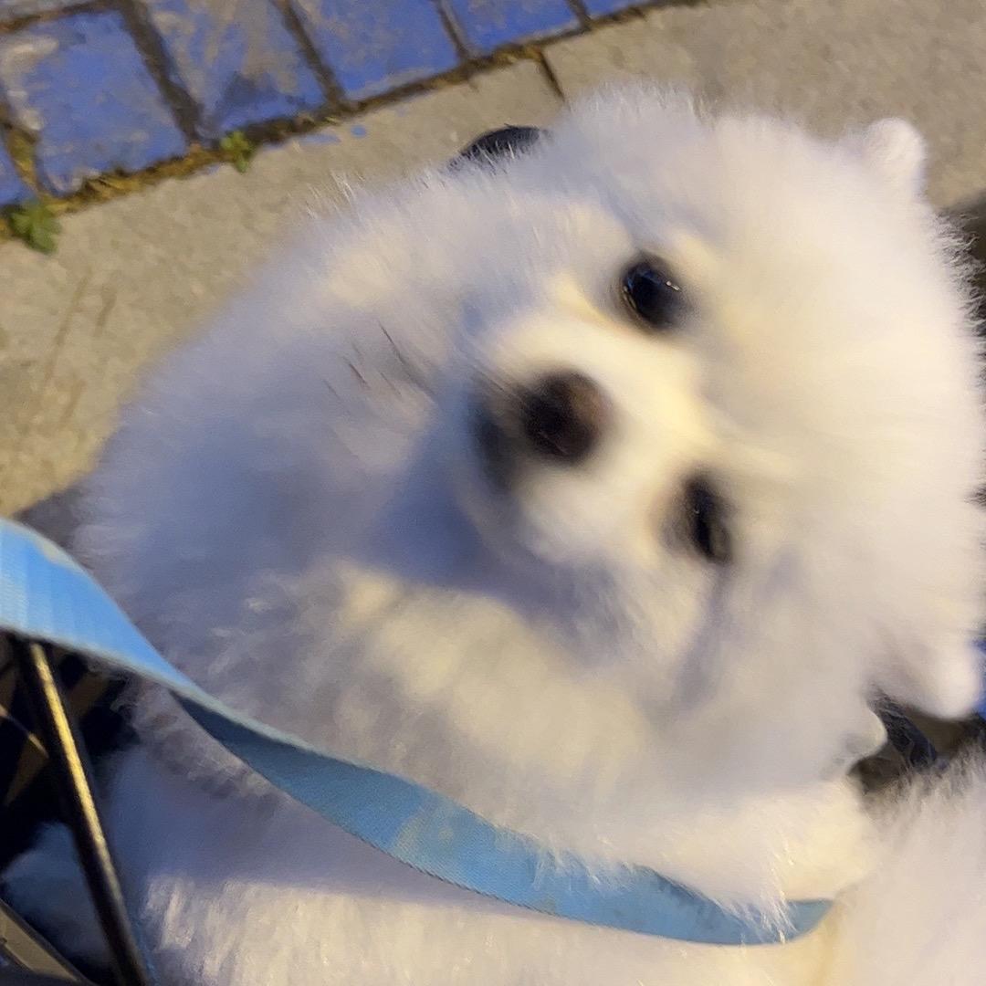 等等i