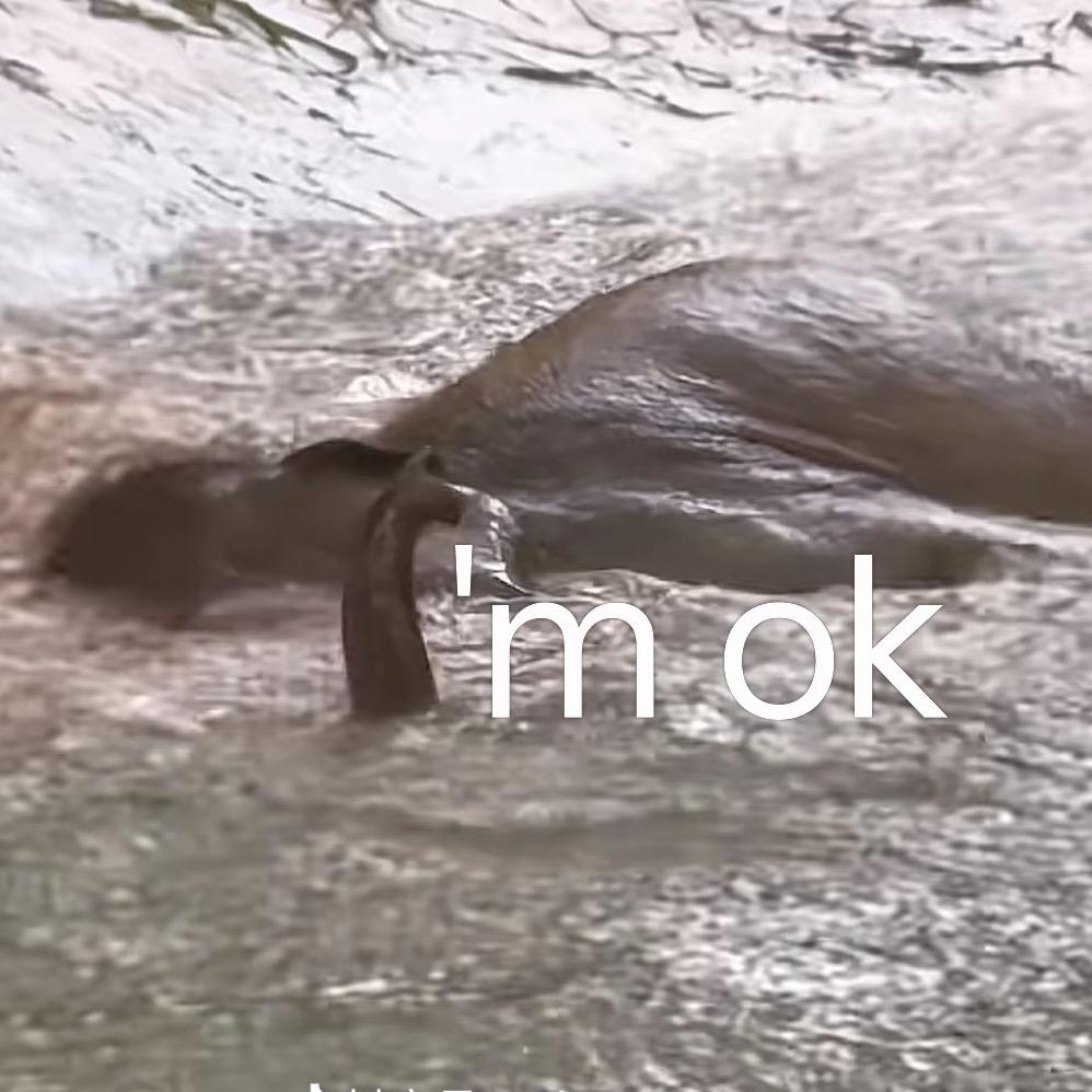 Casey的维权日记（劳动仲裁3月开庭）