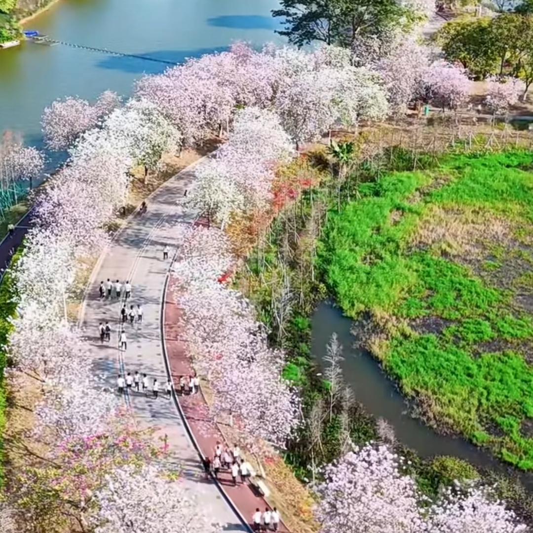 木又产品优选店