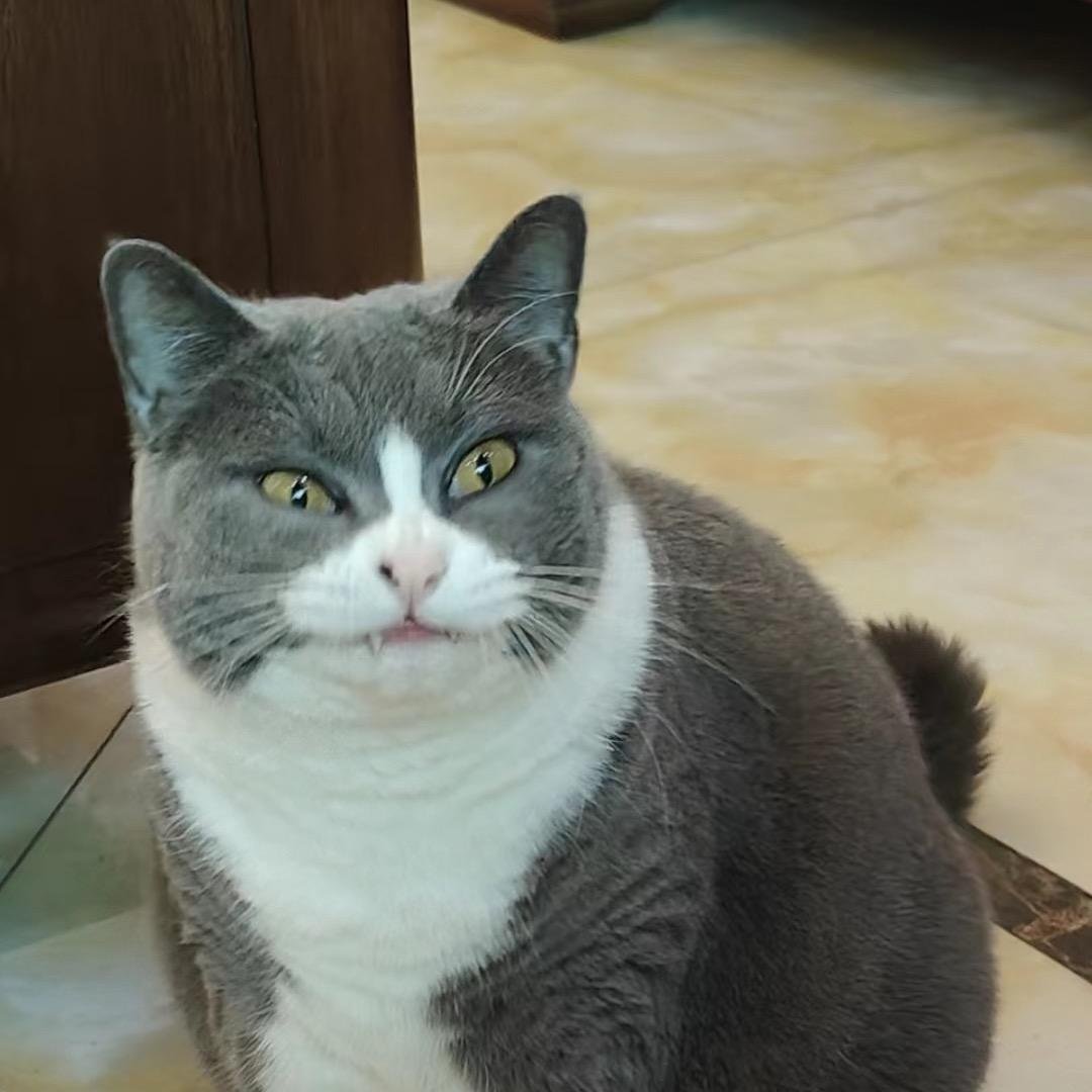 二号机yu
