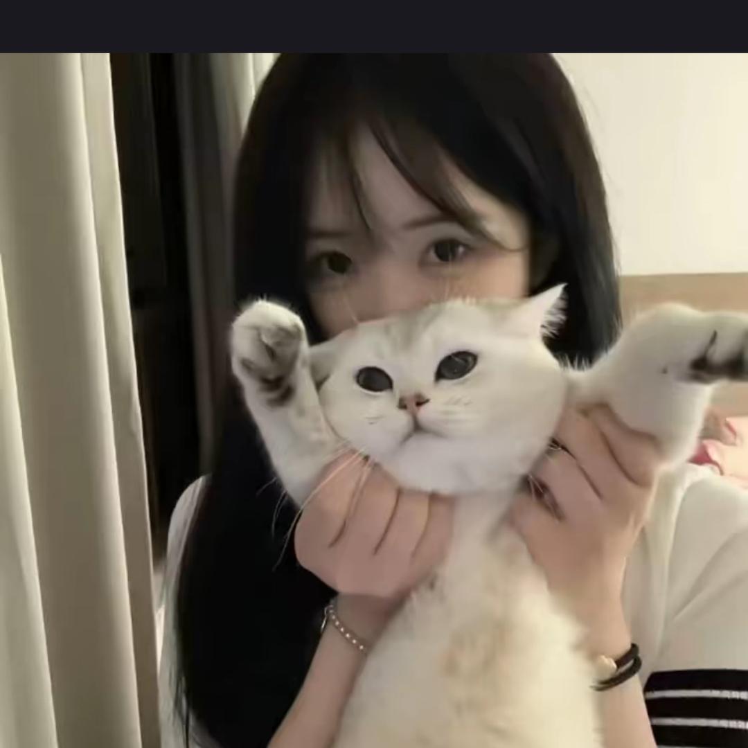 洋芋🥔