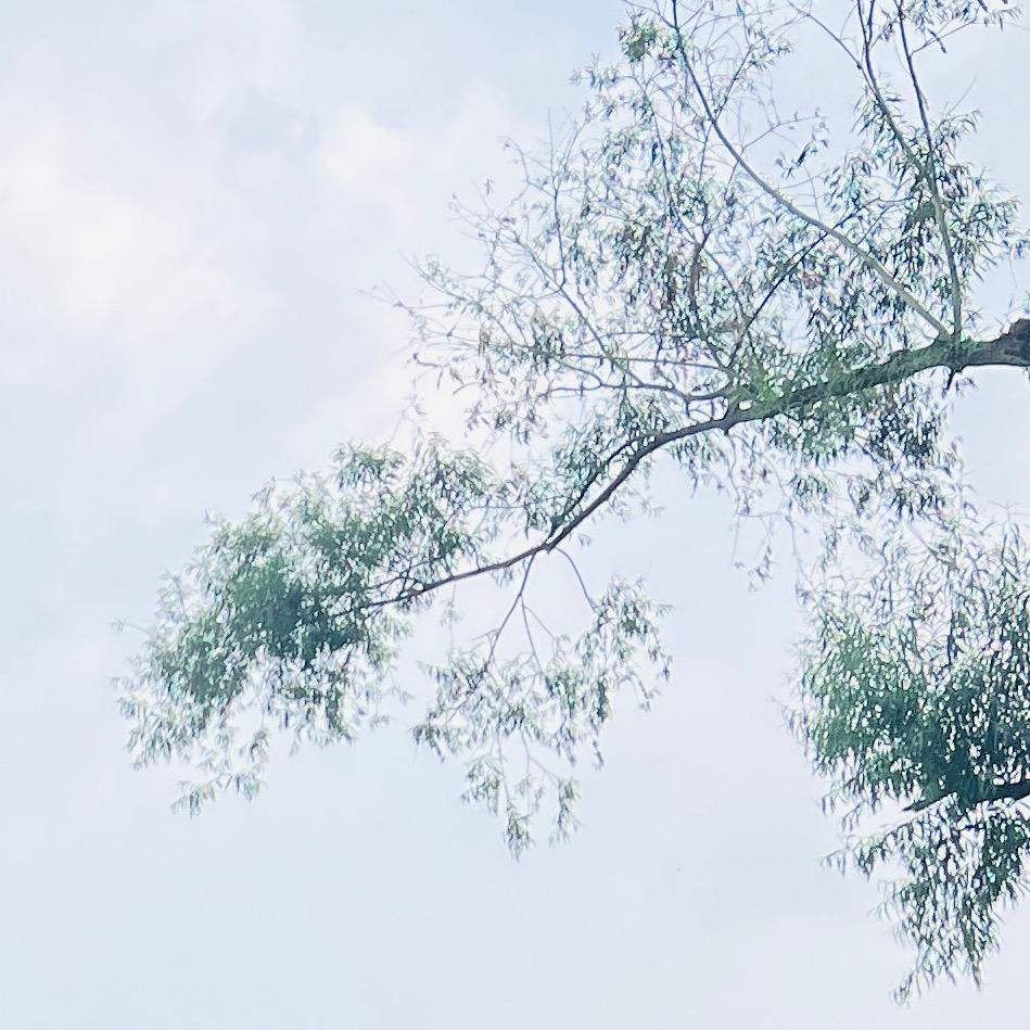 简单的