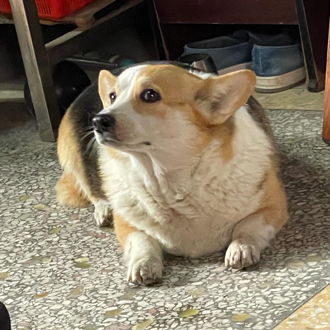 你在钱塘江边