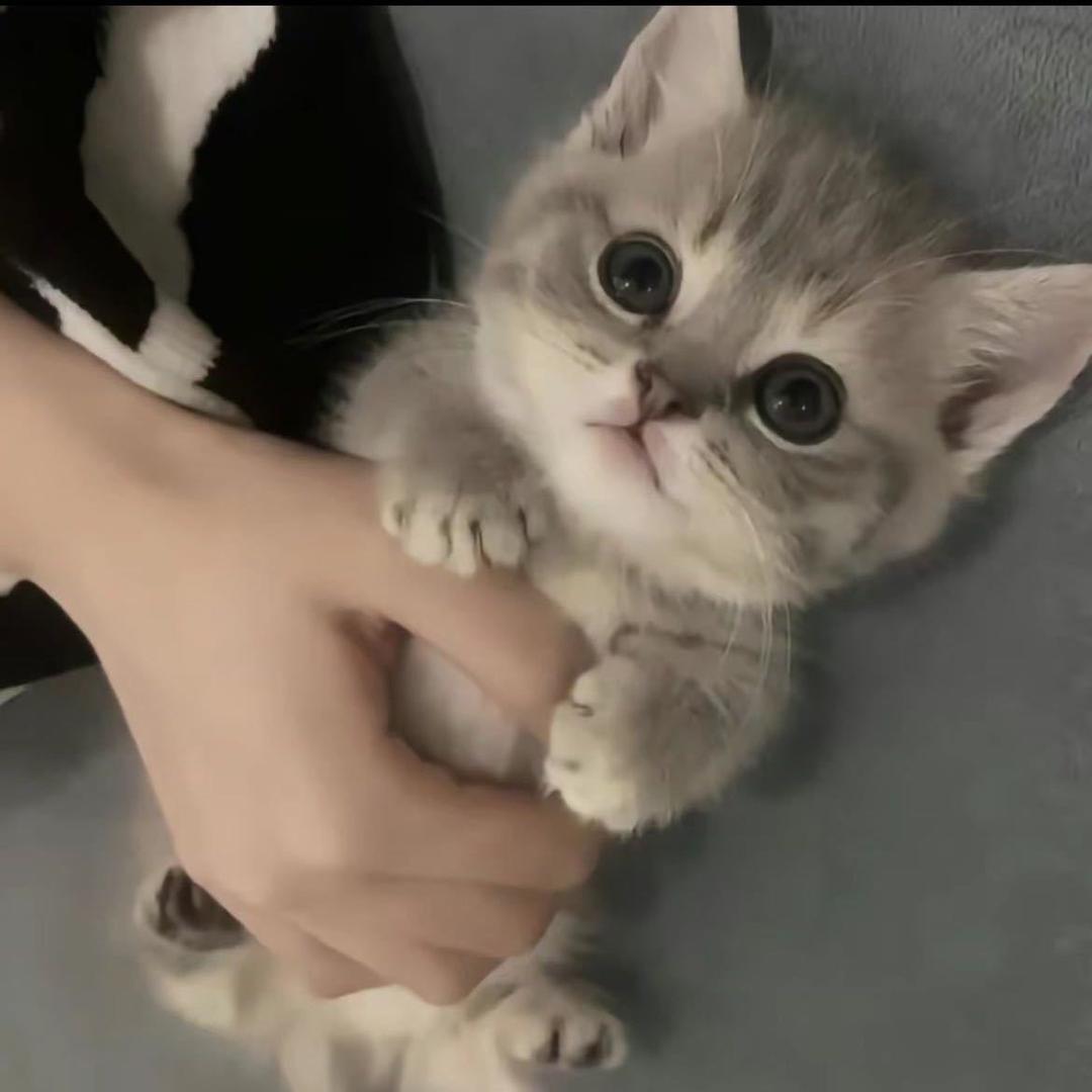 @不会再被男人骗