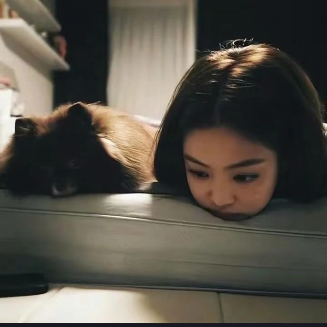 YY🙃