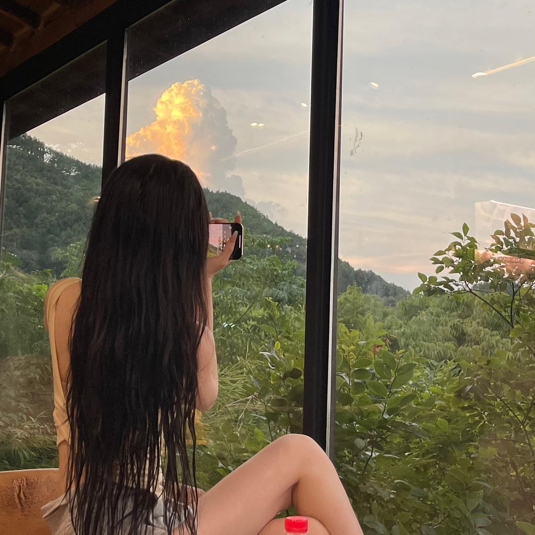 铁打的豆儿