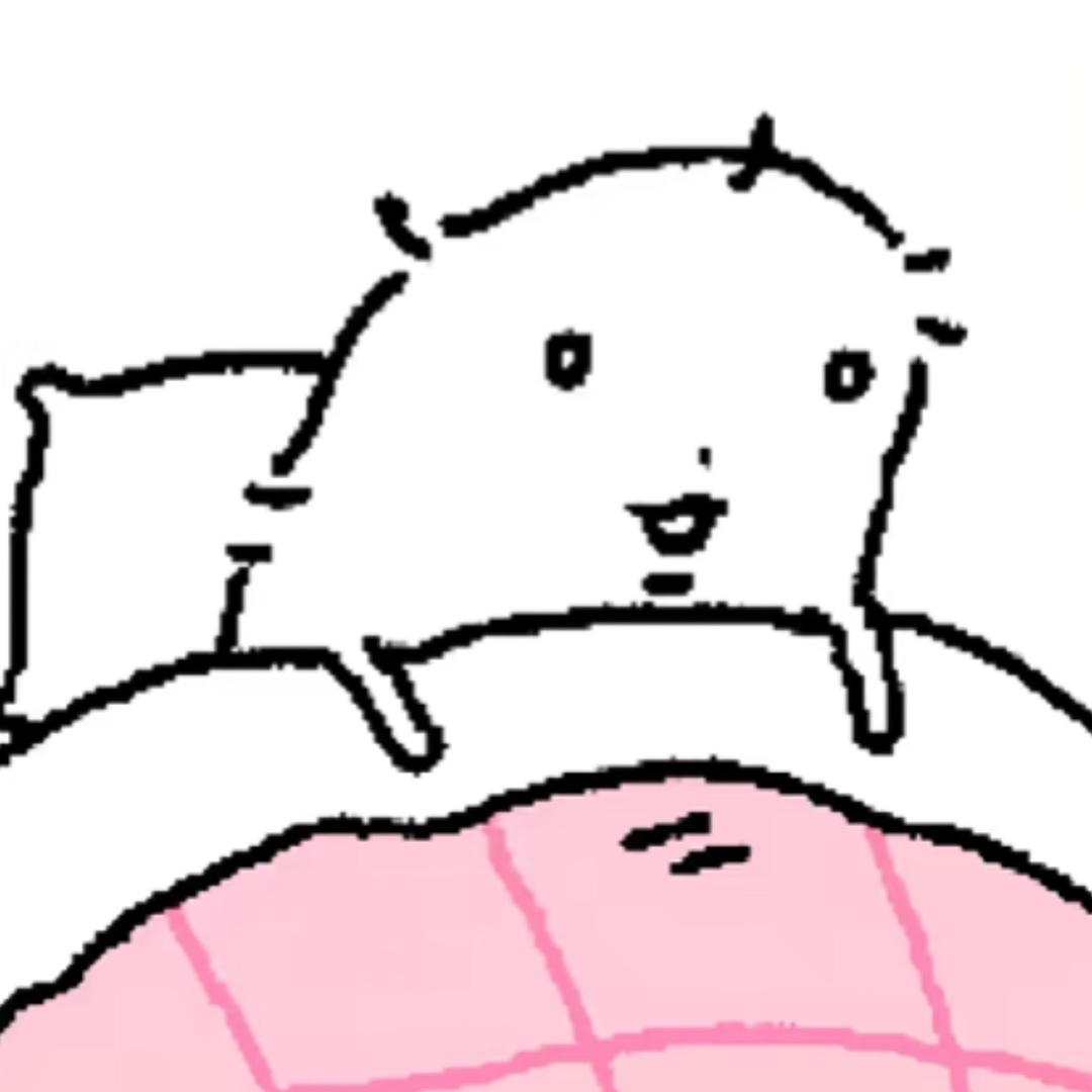 飞小猫