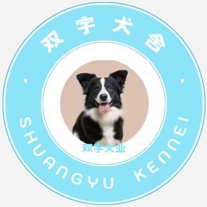 双宇🐶犬舍