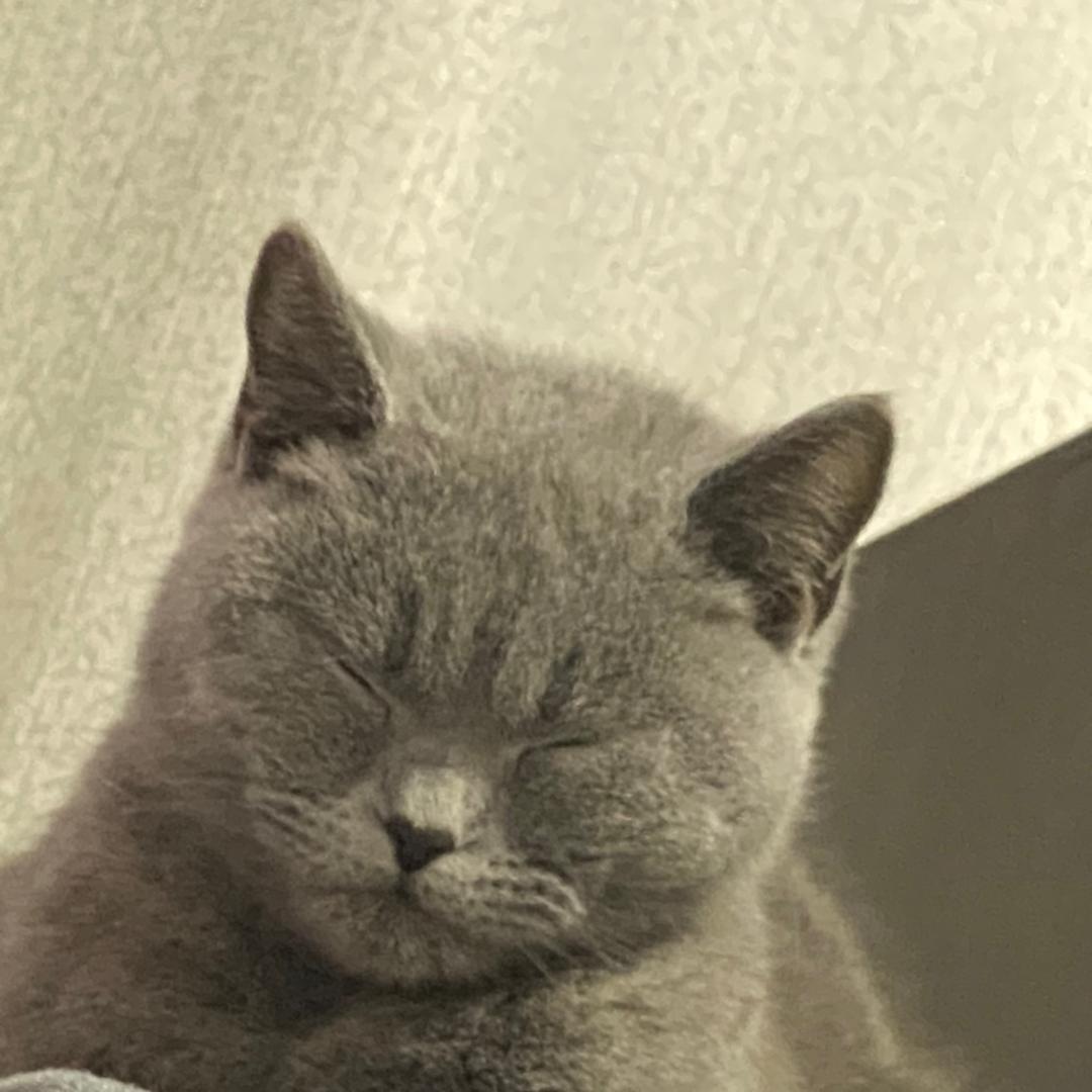 王富贵