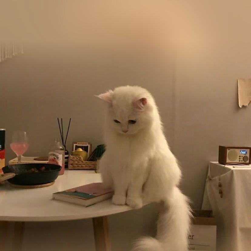 涵涵涵