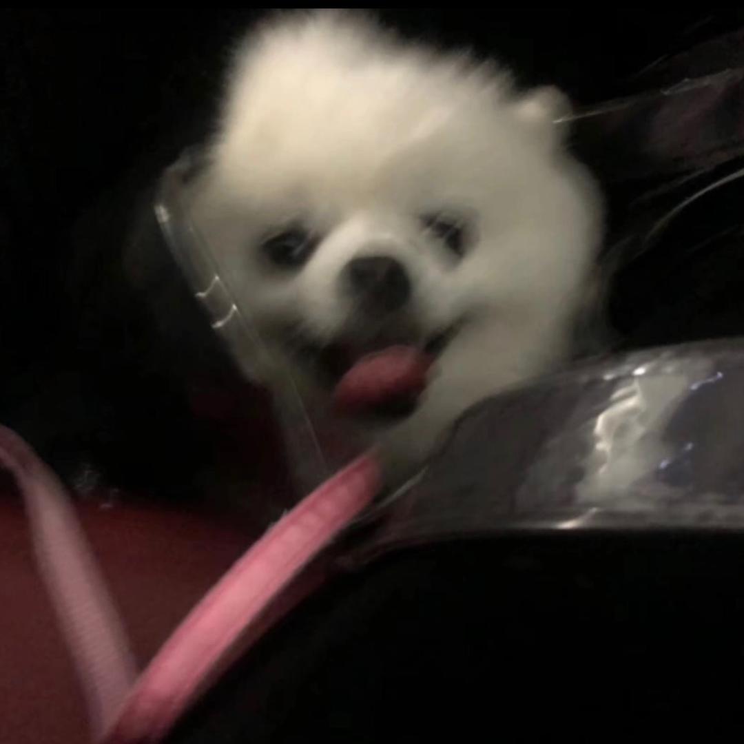 请不要烦
