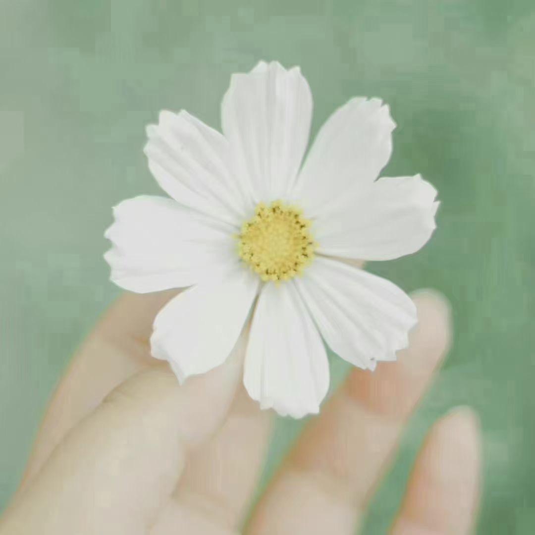 默*^*