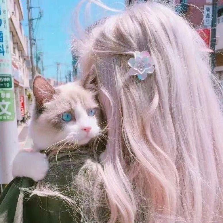 今天干啥✨