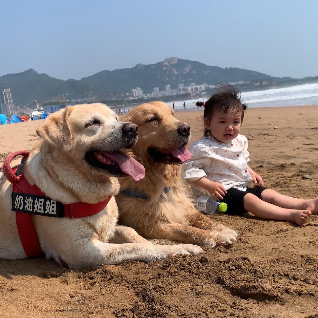 友善的小米