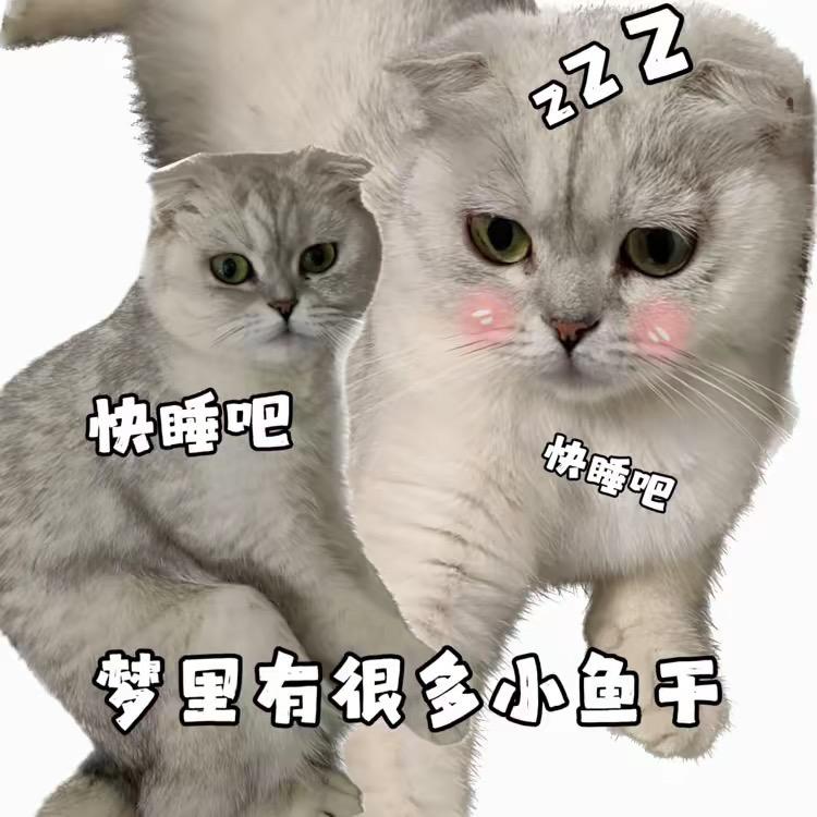 来福爱吃汤圆