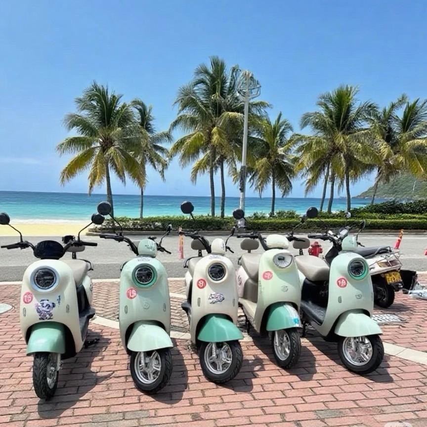 海陵岛电动车出租(送车上门)
