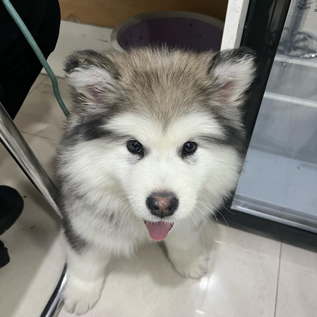 不知名作者
