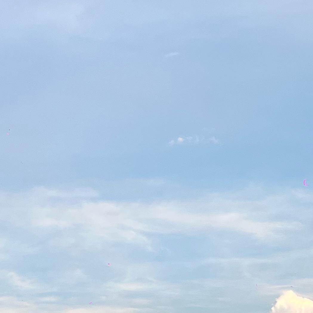 王也