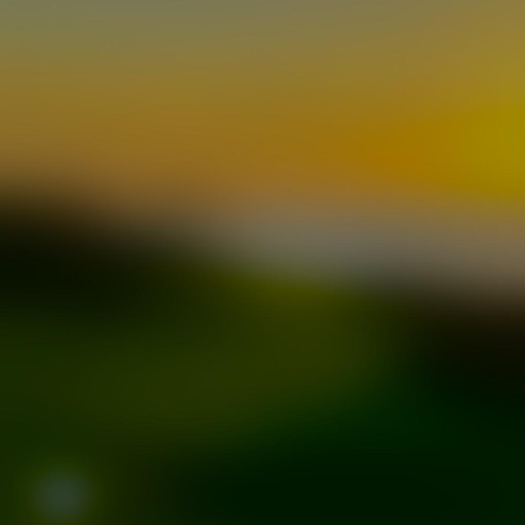 •：