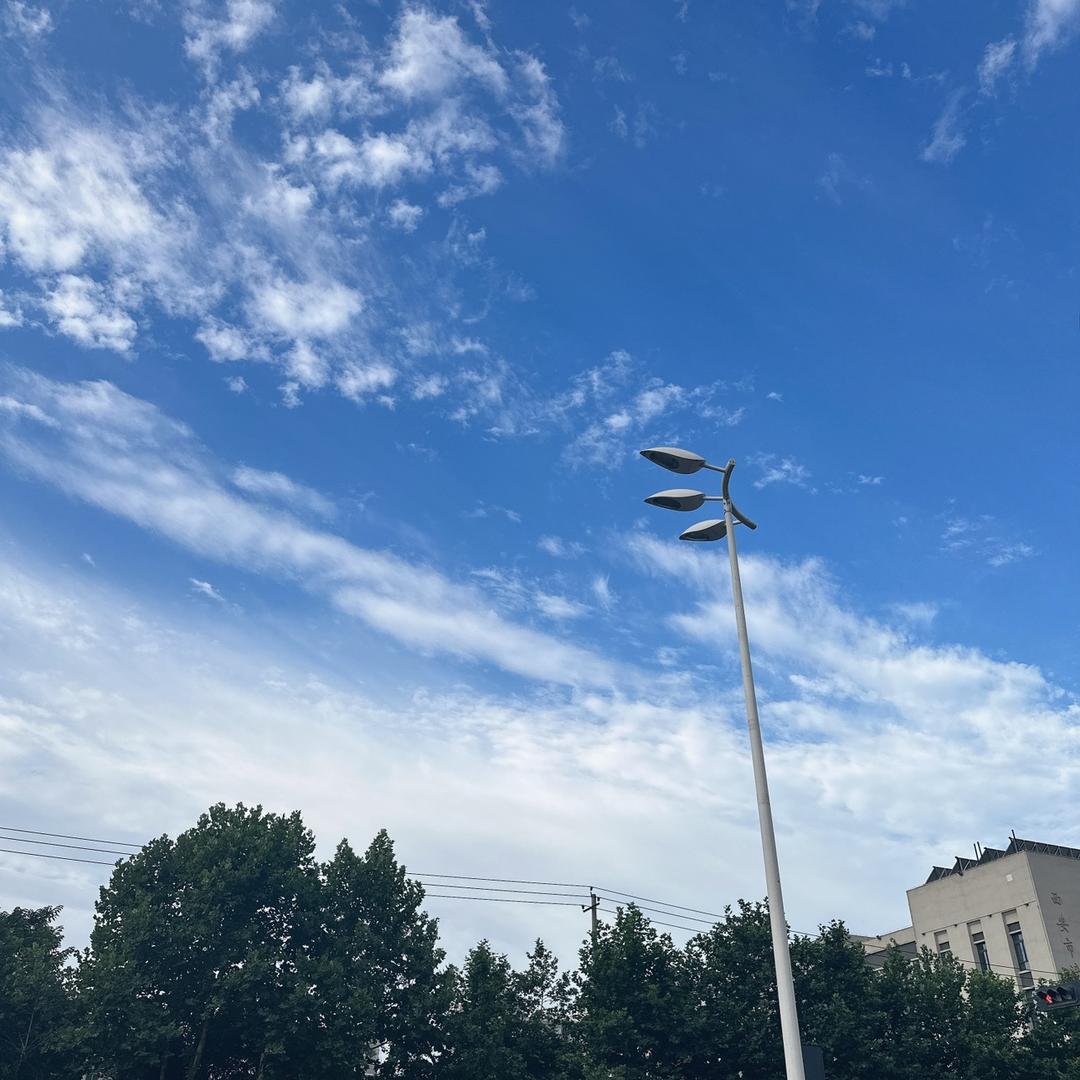 农贸—-🔥小雅