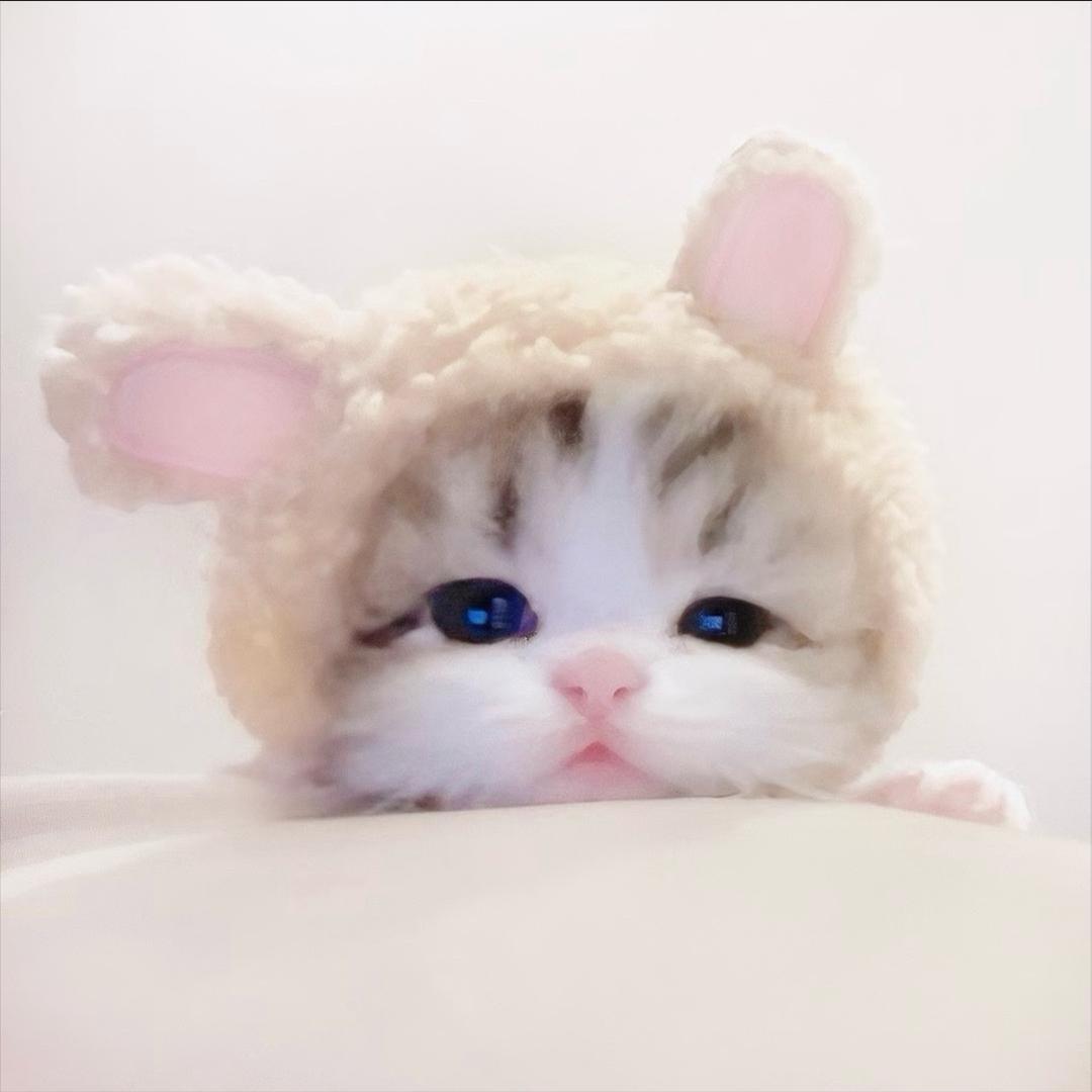 •̆₃•̑