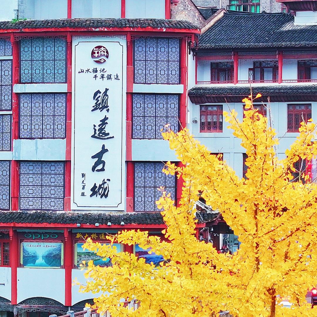 我不是周瑜
