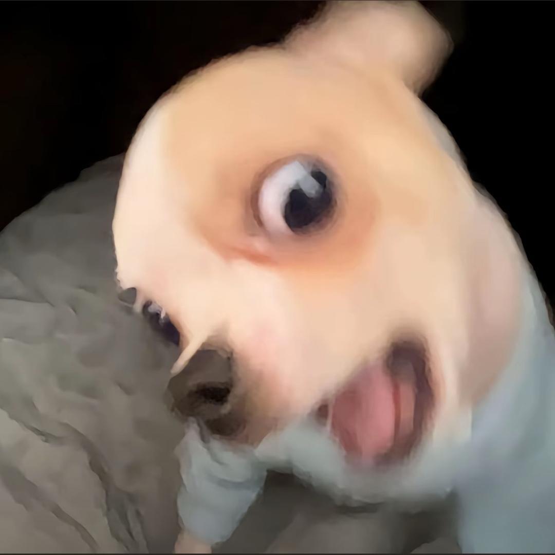 老公是同我变性