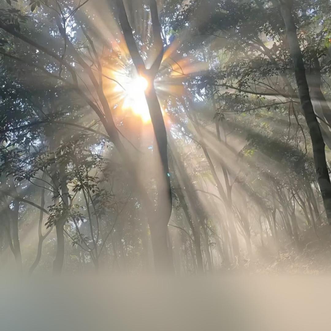 山海聊～⛰️🌊
