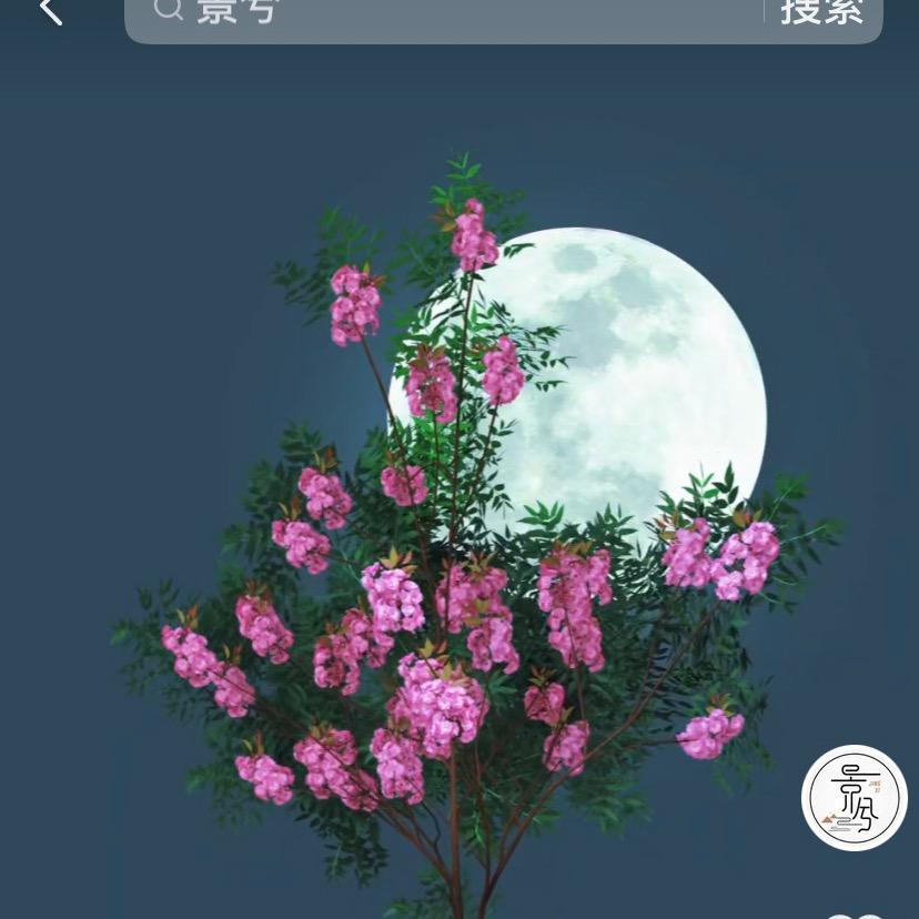 鑫姐