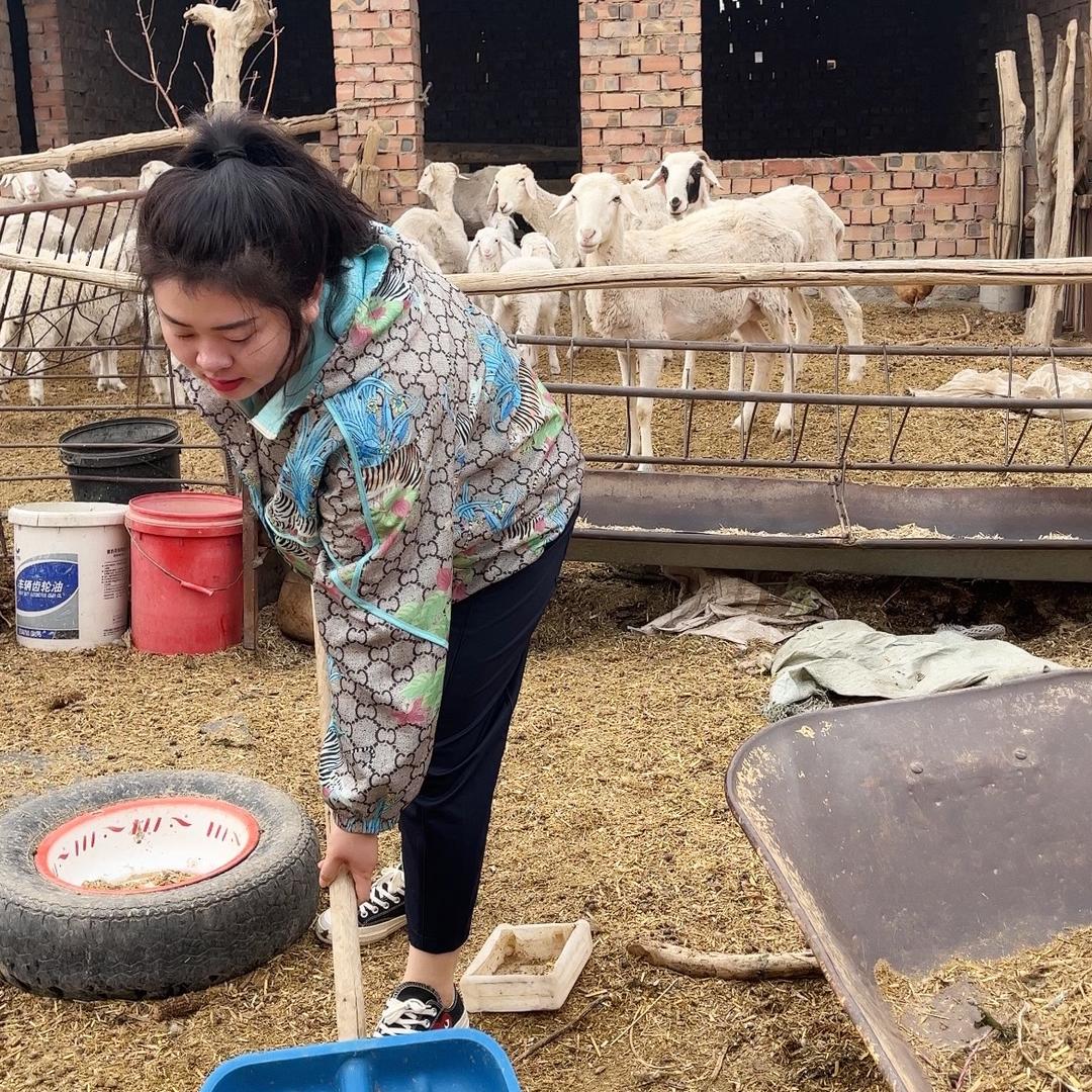 乡村小贝和公婆