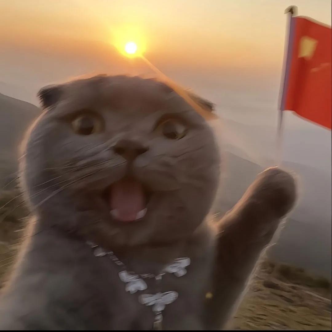 柠檬精🍋